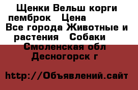 Щенки Вельш корги пемброк › Цена ­ 35 000 - Все города Животные и растения » Собаки   . Смоленская обл.,Десногорск г.